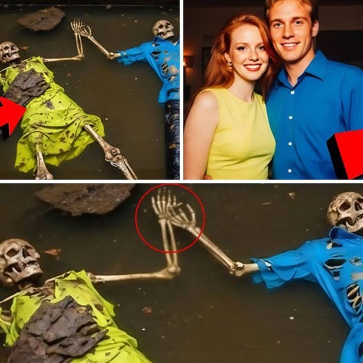 Vanished on New Year’s Eve: A Calculated Disappearance Unfolds